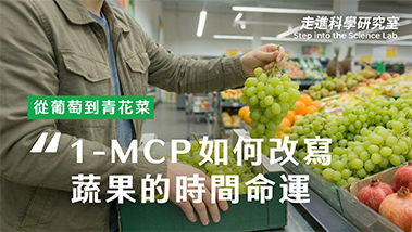 從葡萄到青花菜：1-MCP 如何改寫蔬果的「時間命運」